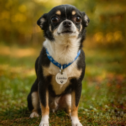 Smart tag Mazlík ID